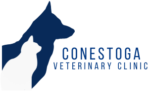 Conestoga Veterinary Clinic